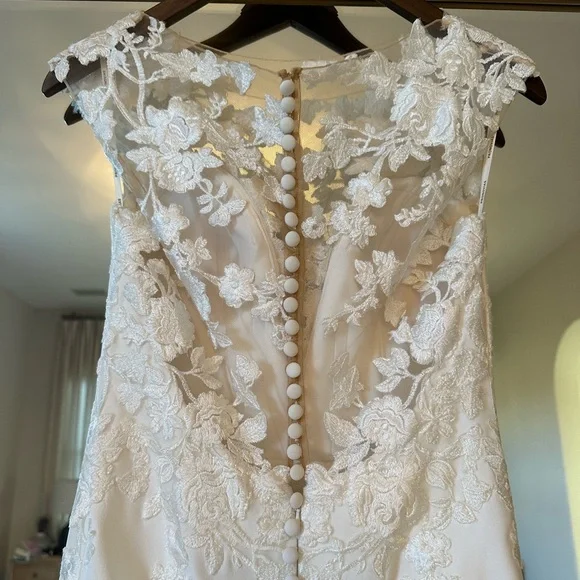 Pronovias Drail Wedding Gown - Picture 9 of 16